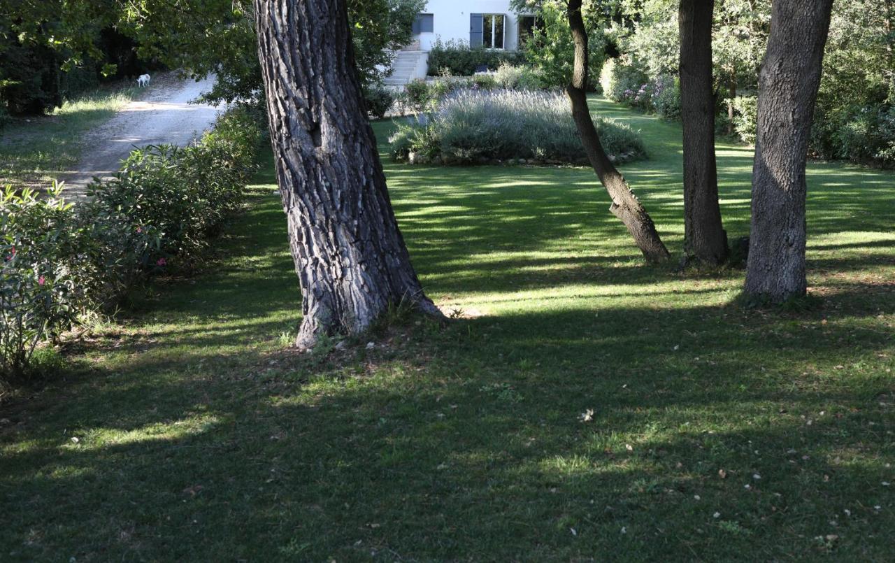 Maison Calme Et Verdure Saint-Cannat Luaran gambar